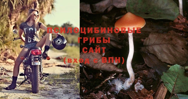ALPHA-PVP Богородск