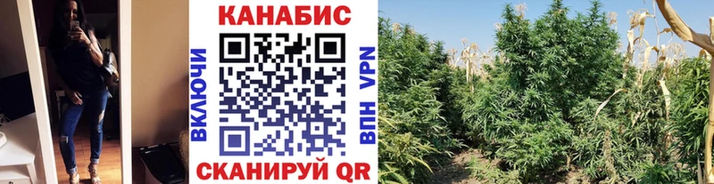 Каннабис LSD WEED  hydra рабочий сайт  Кочубеевское  что такое наркотик 